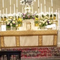 Mike (@mikepotestas23) 's Twitter Profile Photo