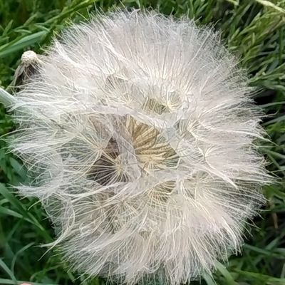 yudukitya's profile picture. 夢女子で腐女子で希死念慮持ちのなにかです