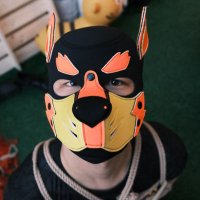 苛虎🐯 (@caustictiger) 's Twitter Profile