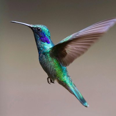 NoemiRuger's profile picture. Licenciada en ADE