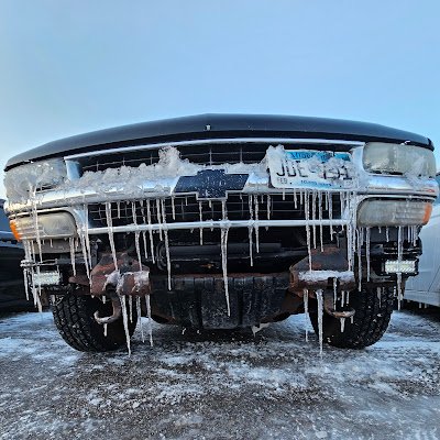 kingofturtles6's profile picture. 