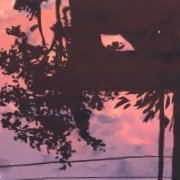 Chemonerparum's profile picture. 成人済み
🔞垢