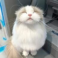 jasper4x's profile picture. 