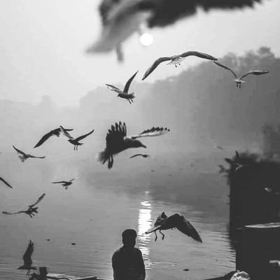 LFatmt55563's profile picture. 