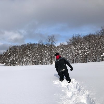 生き物をわかりたい大学院生 / 行動生態学、送粉生態学、博物館 / セミ、カエル / Ethology, Pollination, Museum