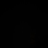 gjman8819 (@dingdong8891) 's Twitter Profile