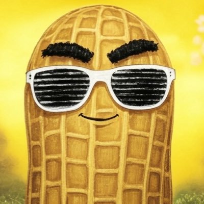 nomalu0's profile picture. ぽこぴー推し