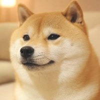 Bosque (@mushroomboomz) 's Twitter Profile