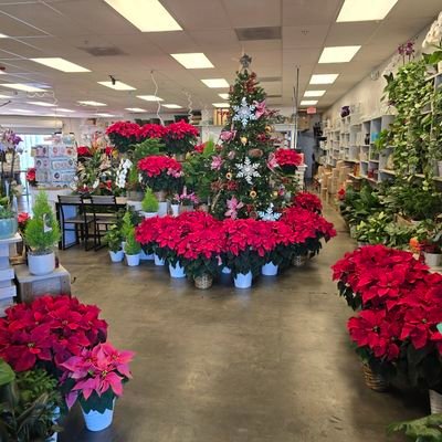 casasflowers's profile picture. Born in 1951. Family owned, employee inspired & dedicated to our community. We are Tucson's #1 florist, guaranteed!