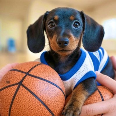 🏀千葉の海岸にバスケコート作りたい。#千葉ジェッツ 富樫が地元の英雄だから応援する #アルティーリ千葉 を今年から応援する。#マリーンズ もね!