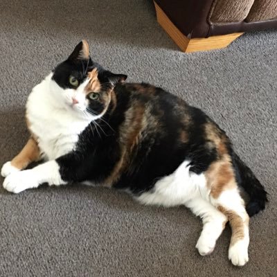 juliesande20141's profile picture. 