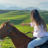 Scarlett Wilderman (@swilderman98719) 's Twitter Profile