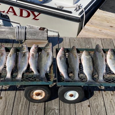 psalms3andIII's profile picture. 