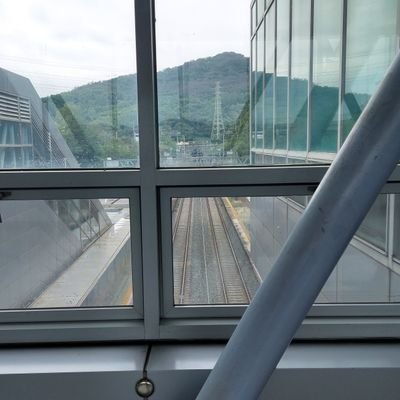 MIIRRF7's profile picture. 