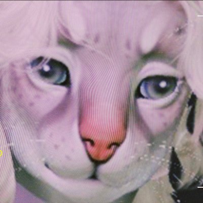 ▵Yo~
Max, He/Him
#SecondLife furry mod creator and photographer
Owner of ▵Kui sgory▵
▵Flickr - https://t.co/V6GioYqfRf