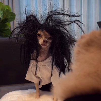 DreamyDrea6's profile picture. 