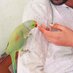 Ridhi (@ridhi51) Twitter profile photo Ridhi (@ridhi51) Twitter profile photo