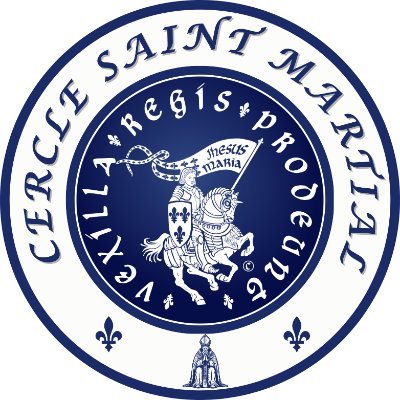 csaintmartial's profile picture. ⚜️Cercle Légitimiste ⚜️
#legitimiste #LouisXX