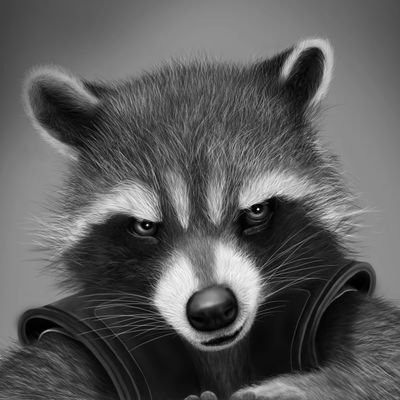 RacoonPotaskun's profile picture. Убиваю принцесс, спасаю драконов, матерюсь(21+)