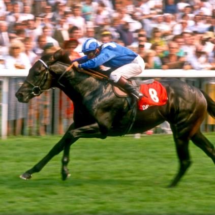 Michael08610854's profile picture. 