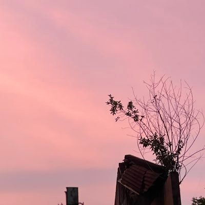 subber96's profile picture. akhirnya makan dan minum gratis ok gas ok gas 😀