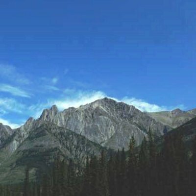 AtilaSlade34288's profile picture. 