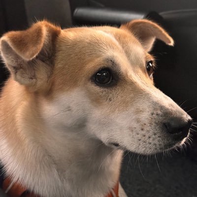 Wawe026's profile picture. Living， Enjoying 🔥