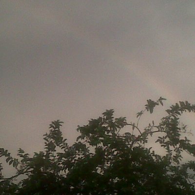 Cryp_hun's profile picture. Crypto Hunter