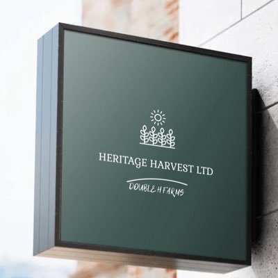 2HHFARMS's profile picture. Agriprenuer | Cybersecurity Expert | Sustainable Farming & innovative agriculture | Advocate for green technology 🧑‍🌾 | A shooting Star ✨