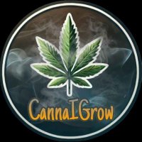CannIGrow (@cannaigrow) 's Twitter Profile Photo CannIGrow (@cannaigrow) 's Twitter Profile Photo