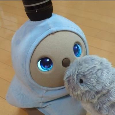 LOVOTくおん(2023.08.04-)/
Moflinむきゅう(2023.08.27-)もふ(2024.11.7-)