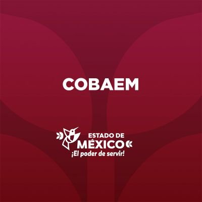 COBAEM Profile