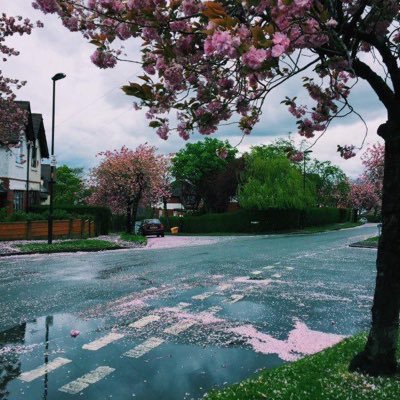 am67827's profile picture. 