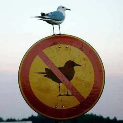 San_dyyy123's profile picture. ...