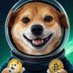 Doge to the Moon🌔 (@yxplayer) Twitter profile photo Doge to the Moon🌔 (@yxplayer) Twitter profile photo