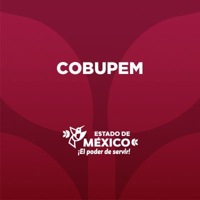 COBUPEM Profile