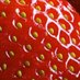 strawb (@strawberryhank) Twitter profile photo strawb (@strawberryhank) Twitter profile photo