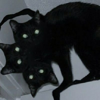 romeossorrow's profile picture. все стихи мои, просьба копировать только с указанием автора.
тг-канал - https://t.co/MvgRAoHs78.