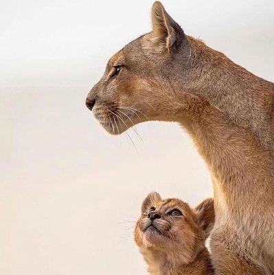 NanaAnt40249353's profile picture. 