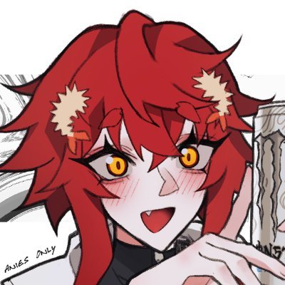 Anies 🍤さんのプロフィール画像