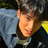 d✿isy saw svt !! (@tinybobpul) 's Twitter Profile