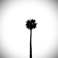 Steven Diaz (@sdcr8s) 's Twitter Profile