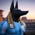 Dogskywalker (@chacal10591265) Twitter profile photo Dogskywalker (@chacal10591265) Twitter profile photo