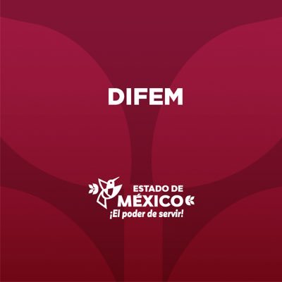 DIF Estado de México Profile