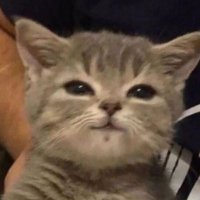 D(R)AMA (@luda_glava98) 's Twitter Profile