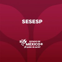 Secretariado Ejecutivo (@secretariadogem) 's Twitter Profile
