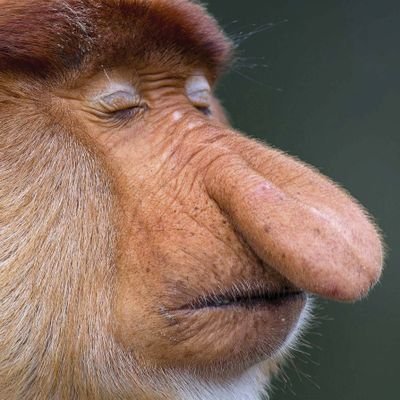 LoXedIn's profile picture. 