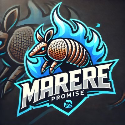 PromiseGamingSz's profile picture. Organização da maior PROMESSA de League of Legends do Tier 3.
Atualmente disputando a copa da Empoliga
@marereesports