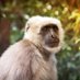 Adri 🐒 (@caparros_12) Twitter profile photo Adri 🐒 (@caparros_12) Twitter profile photo