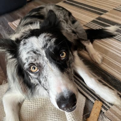 william_daman's profile picture. the road goes on forever and the party never ends